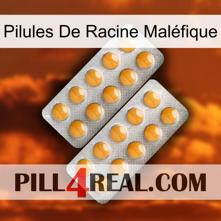 Pilules De Racine Maléfique levitra2